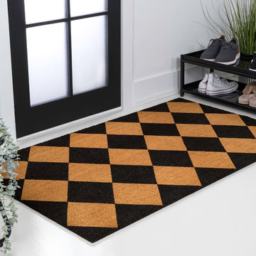 Paige Modern Classic Diamond-patterned Coir Area Rug
